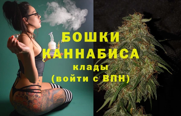 МДПВ Ельня