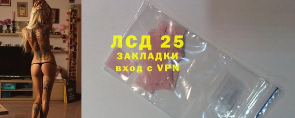 хмурый Абаза