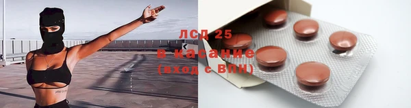 хмурый Абаза