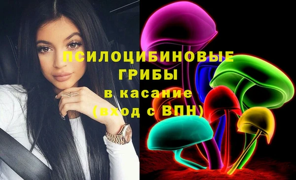 хмурый Абаза