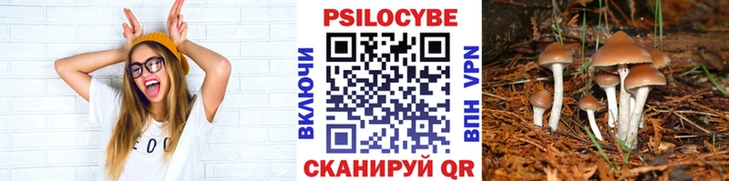 Галлюциногенные грибы Cubensis  Алапаевск 