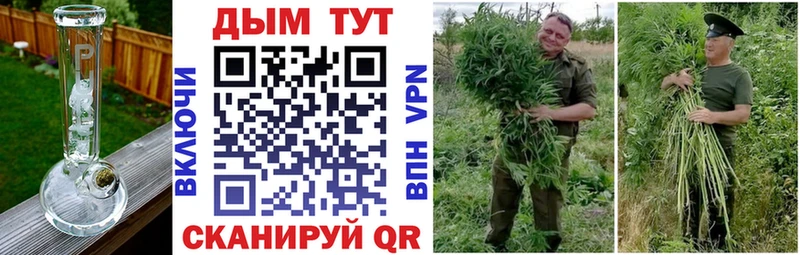 купить наркоту  Алапаевск  Конопля марихуана 